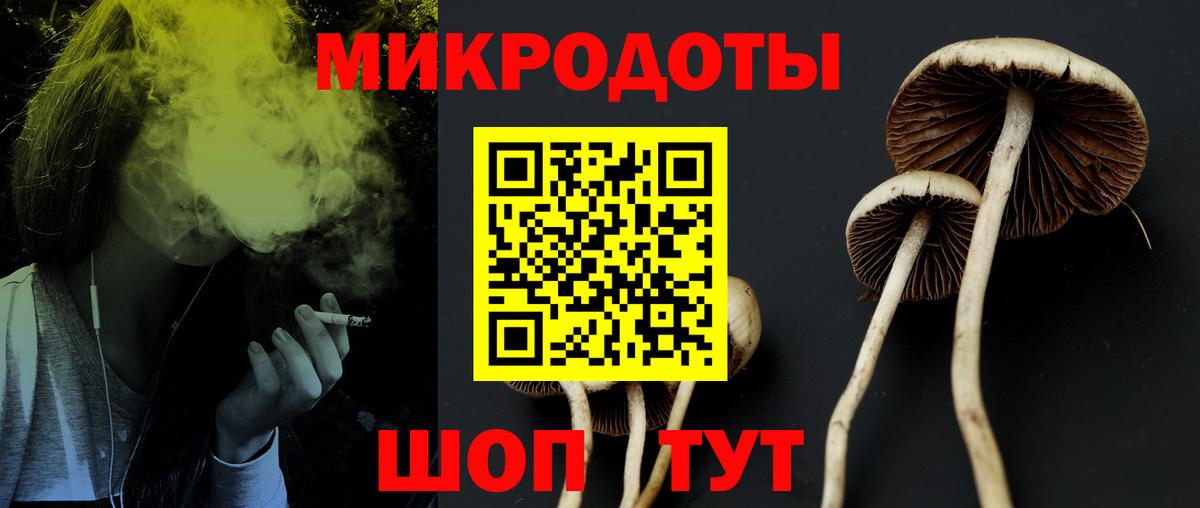Арсеньев  Галлюциногенные грибы прущие грибы  Вход с VPN  Галлюциногенные грибы ЛСД 